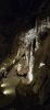 PICTURES/Mitchell Caverns/t_Path1.jpg